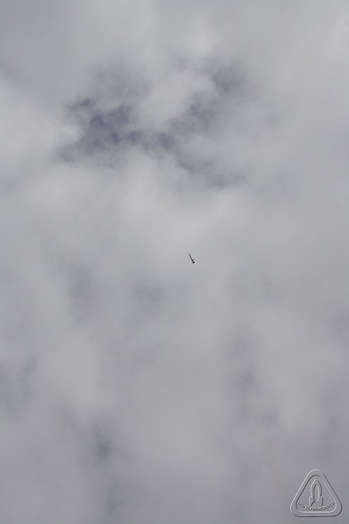 2013 Svojek Mirek Topinka